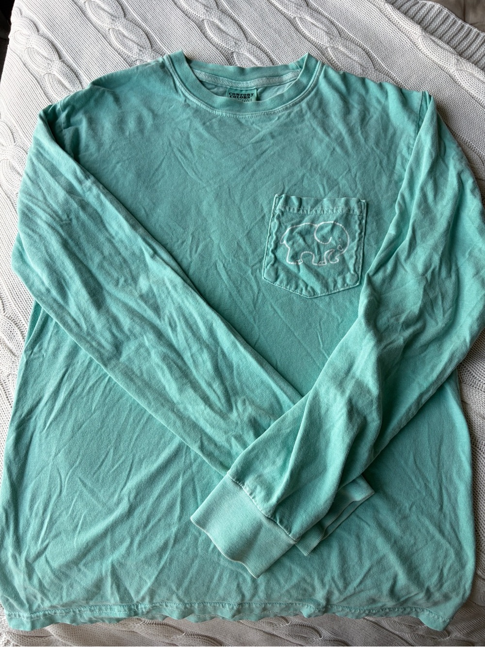 ivory ella Long Sleeve Pocket Tee in Seafoam small